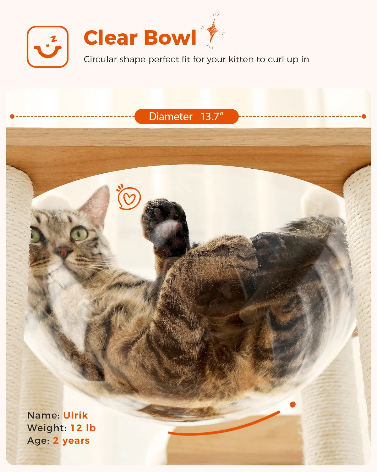 Multi Level Cat Tree Indoor Wood Cat Tower With Scratching Posts And Hammock