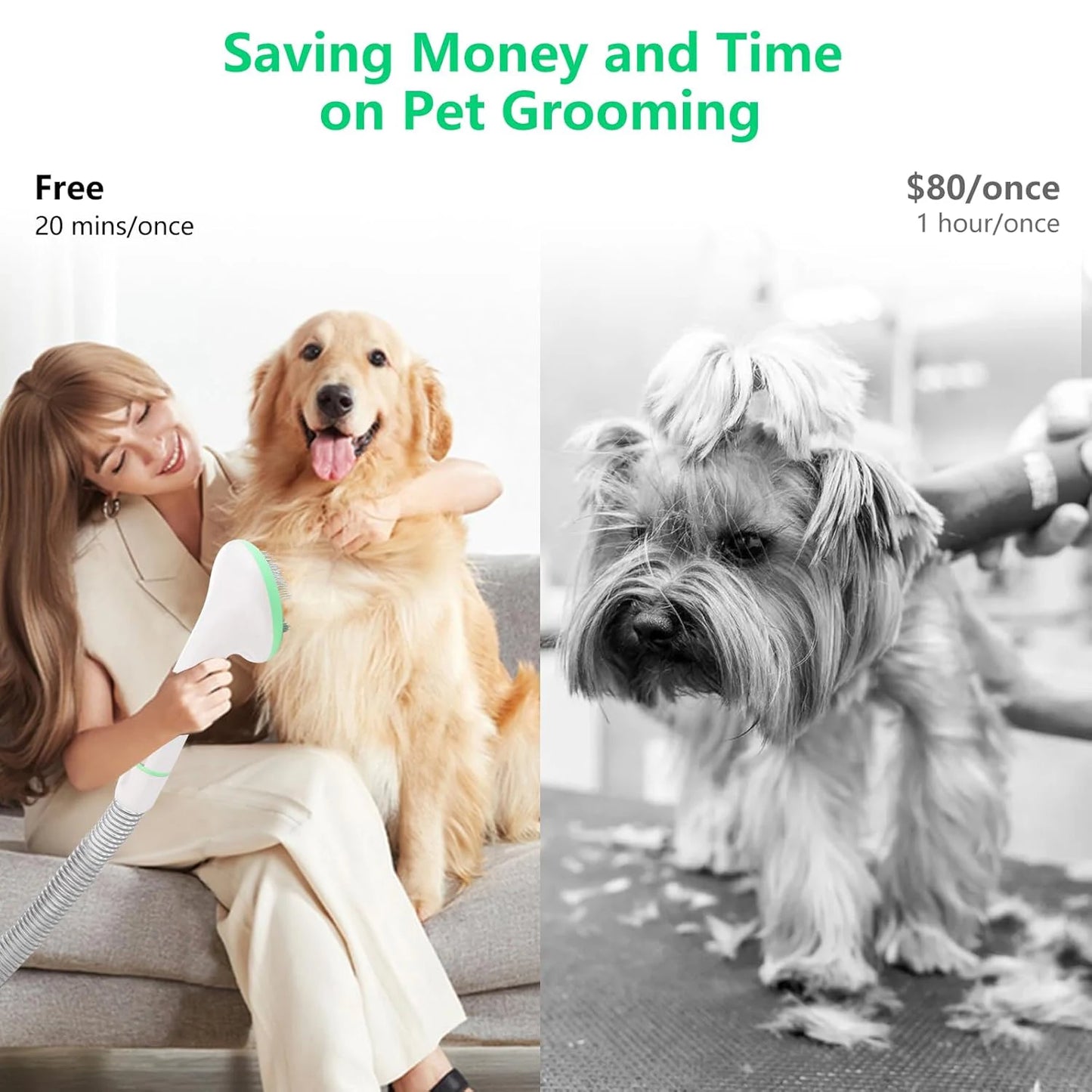 Pet Grooming Kit With 2L Vacuum Suction For Dogs And Cats 5 Grooming Tools Quiet