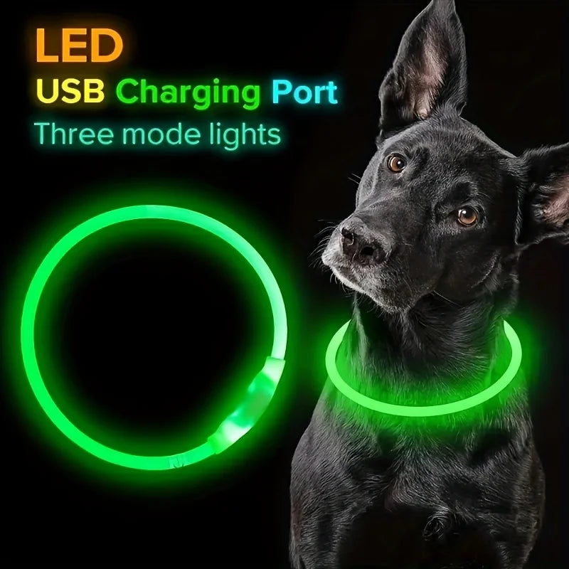 LED Light Dog Collar Luminous USB Rechargeable Anti Lost Reflective Nylon