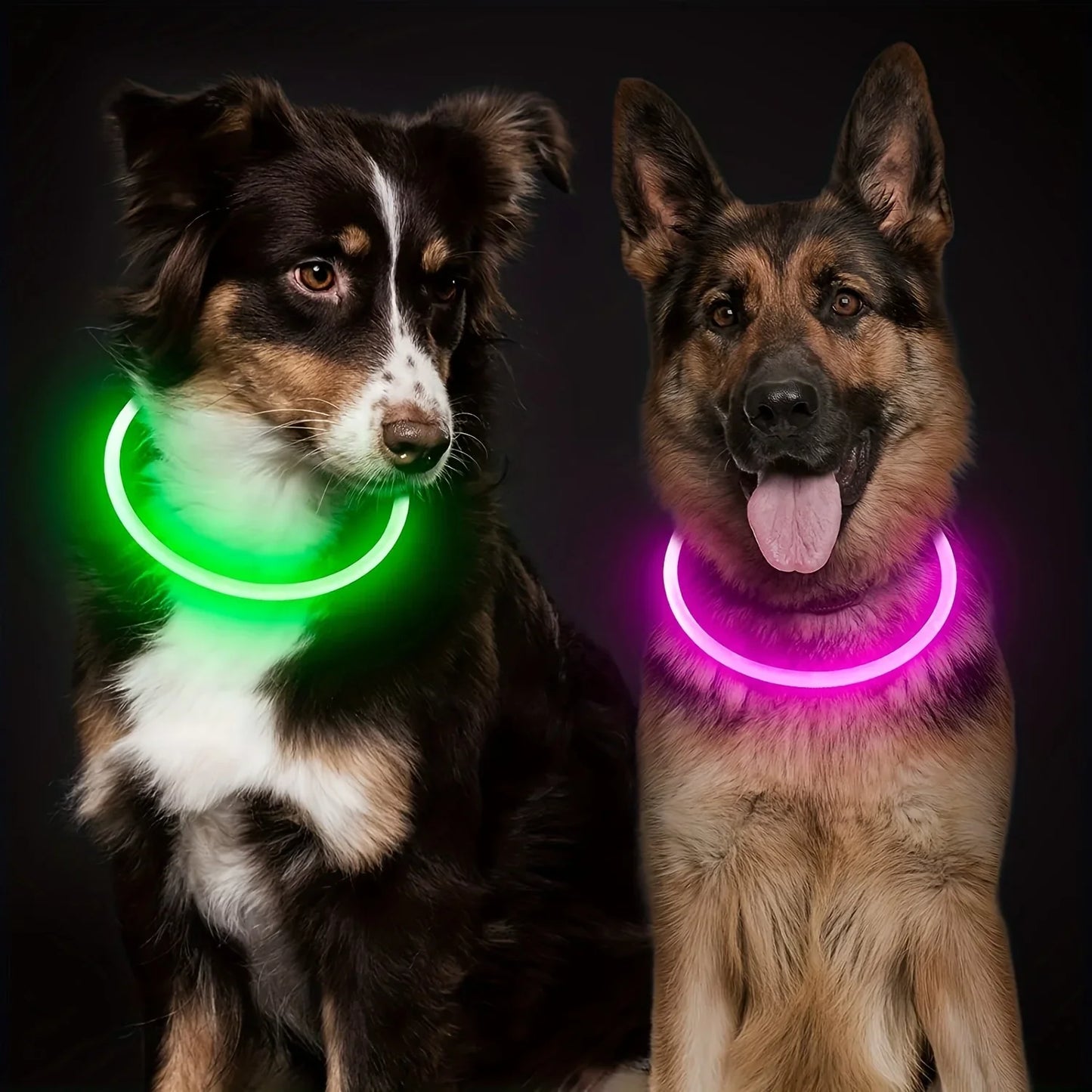 LED Light Dog Collar Luminous USB Rechargeable Anti Lost Reflective Nylon