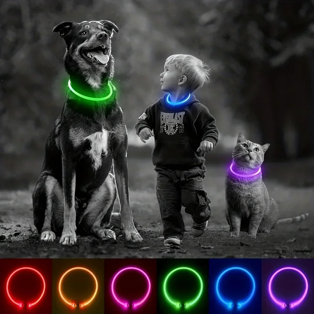 LED Light Dog Collar USB Rechargeable Reflective Luminous Anti Lost Pet Necklace