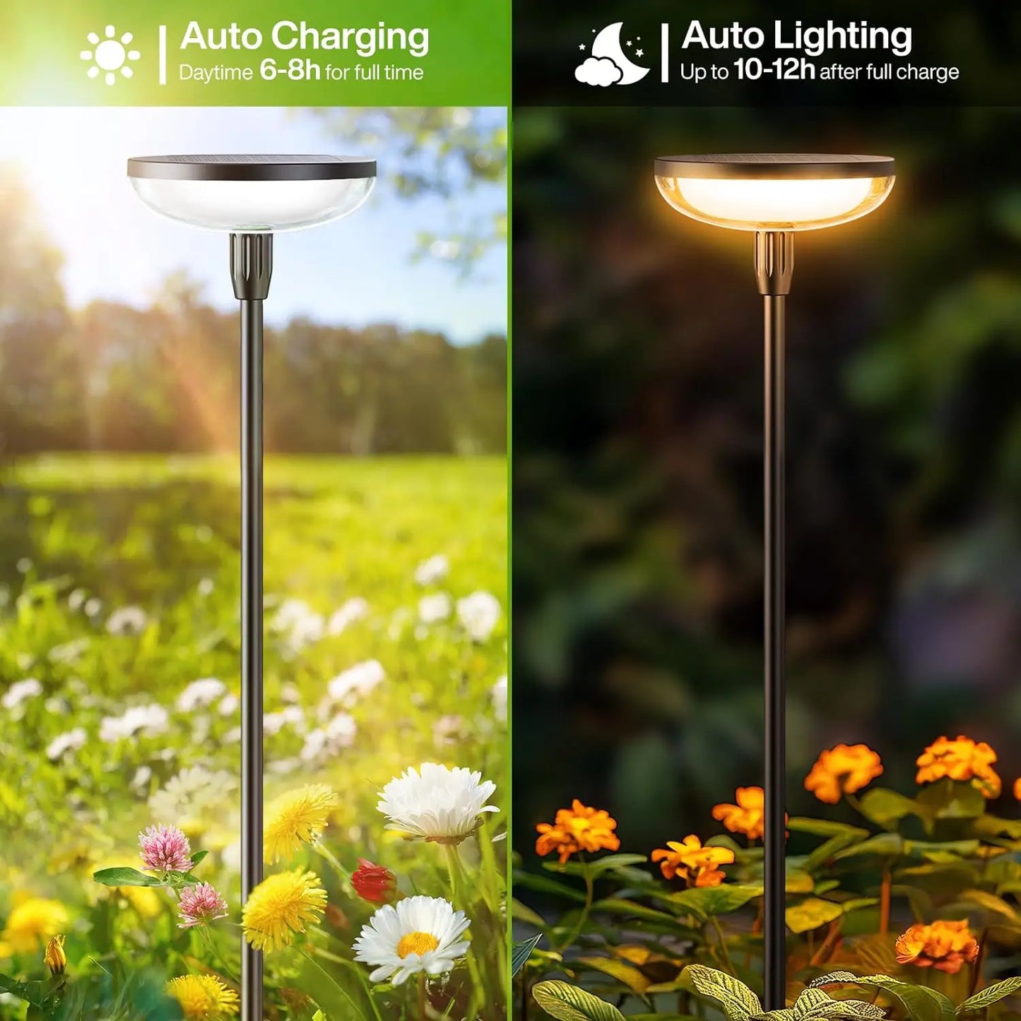 Six Pack Solar Garden Path Lights 40 Lumens 14 Hours Auto On Off 31 Inches Tall