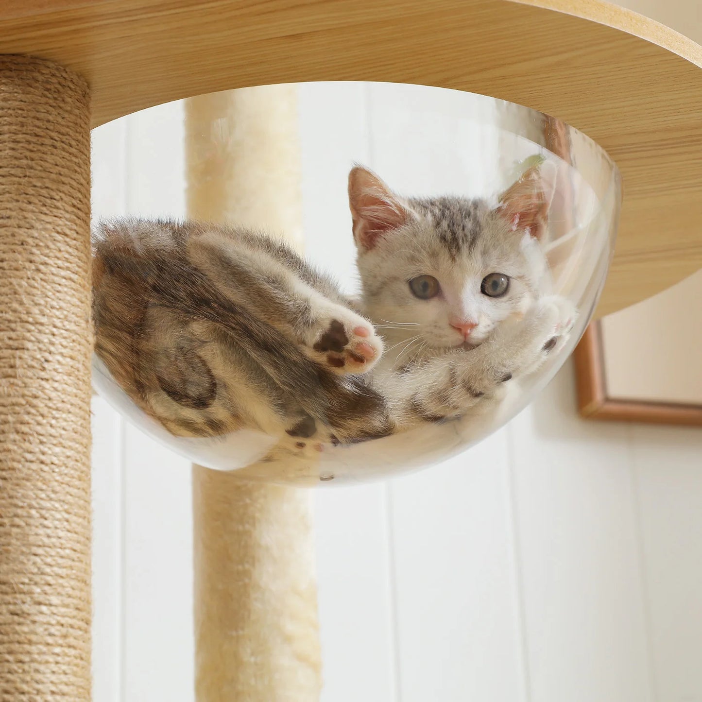 Multi Level Cat Tree Indoor Wood Cat Tower With Scratching Posts And Hammock