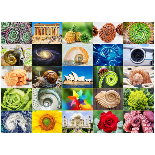 1000 Piece Spiral Theme Jigsaw Puzzle For Adults Friends Birthday Christmas Gift