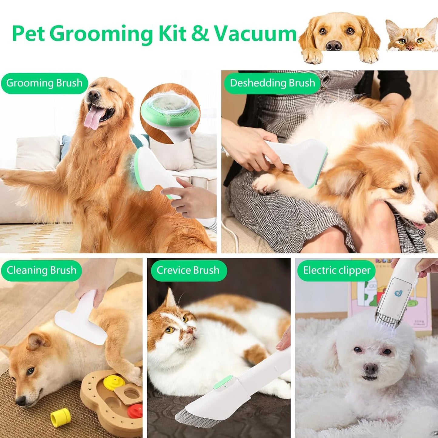 Pet Grooming Kit With 2L Vacuum Suction For Dogs And Cats 5 Grooming Tools Quiet