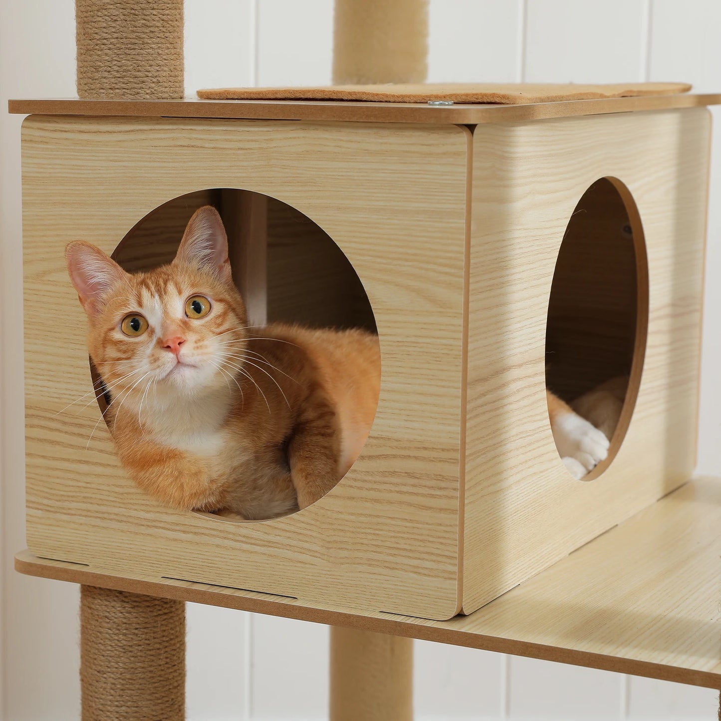 Multi Level Cat Tree Indoor Wood Cat Tower With Scratching Posts And Hammock
