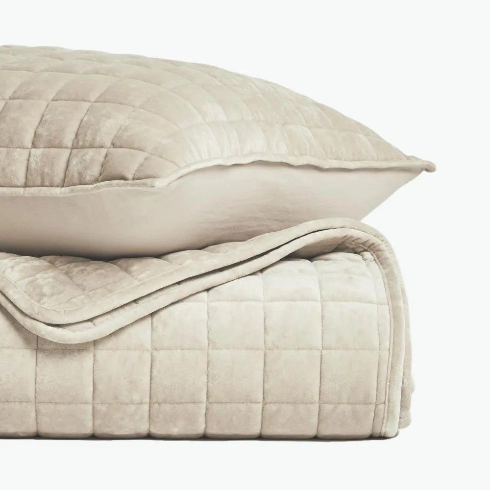 Luxury Velvet Quilt Set for Full/Queen Size Beds, Ultra Soft Comforter with Lightweight Stitched Design