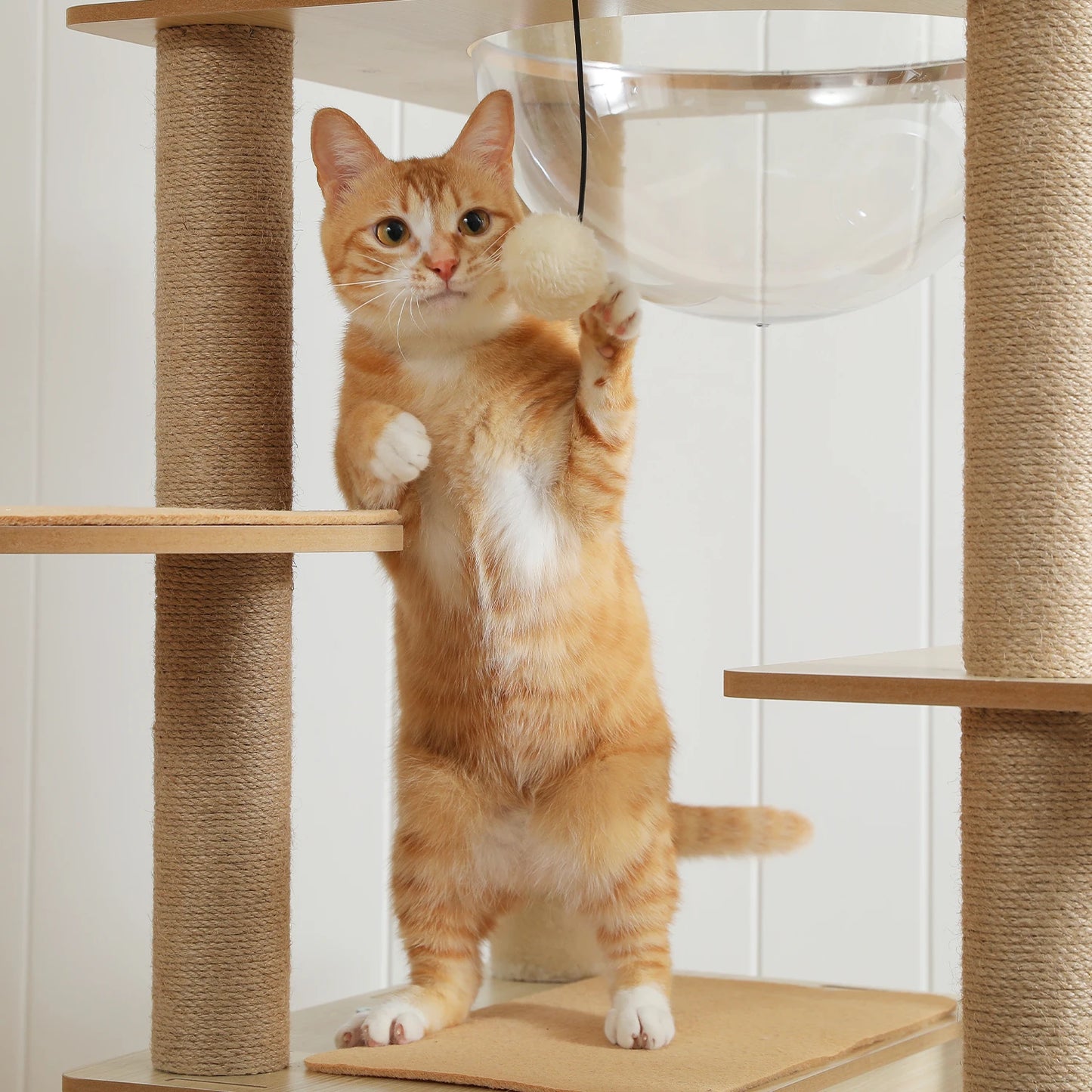 Multi Level Cat Tree Indoor Wood Cat Tower With Scratching Posts And Hammock