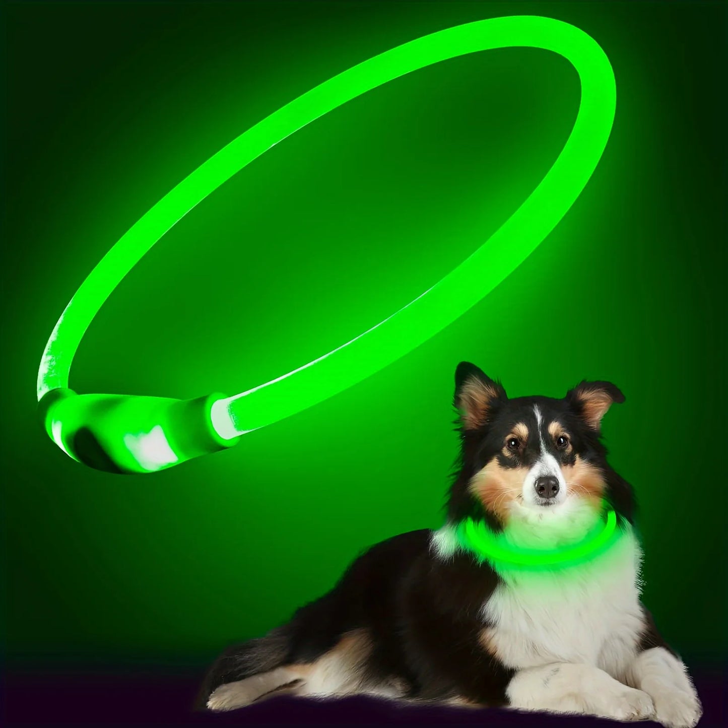 LED Light Dog Collar Luminous USB Rechargeable Anti Lost Reflective Nylon