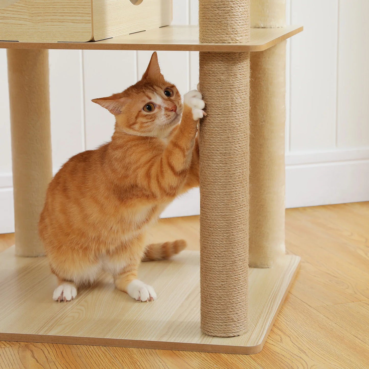 Multi Level Cat Tree Indoor Wood Cat Tower With Scratching Posts And Hammock