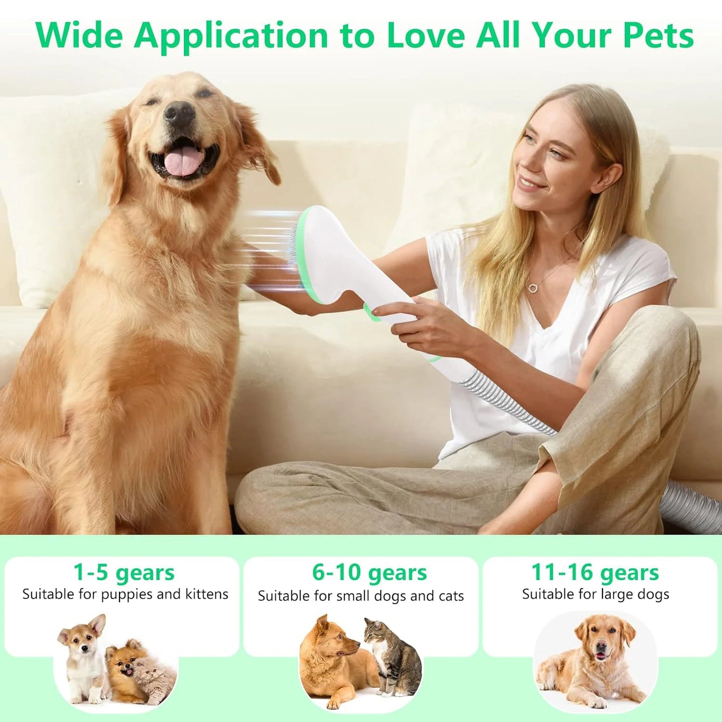 Pet Grooming Kit With 2L Vacuum Suction For Dogs And Cats 5 Grooming Tools Quiet